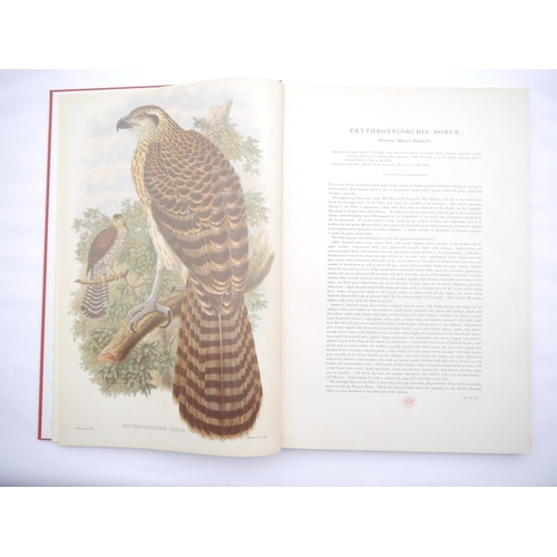 9382 - John Gould & R. R. Bowdler Sharpe: 'The Birds of New Guinea and the Adjacent Papuan Islands, includi... 