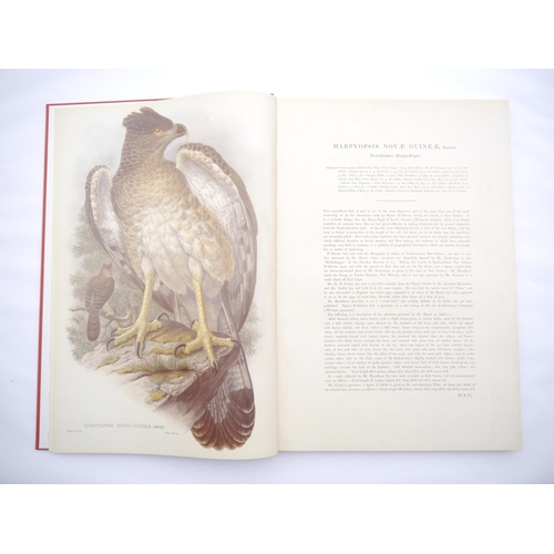 9382 - John Gould & R. R. Bowdler Sharpe: 'The Birds of New Guinea and the Adjacent Papuan Islands, includi... 