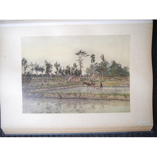 9010 - (Lai Afong, China, Canton, Hong Kong, Singapore, Asia.) Three large photograph albums containing 145... 