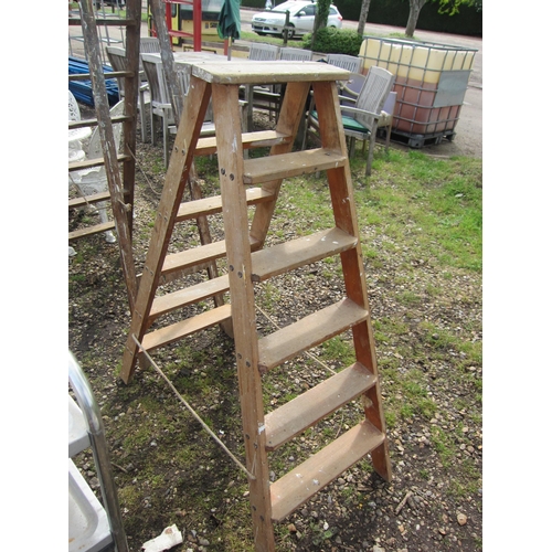 3606 - A set of six tread double sided steps