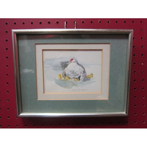 4112 - CHRIS SINCLAIR (1931-2012): A watercolour of Muscovy Duck with ducklings, pencil signed, framed and ... 