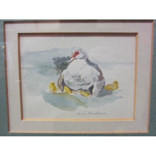 4112 - CHRIS SINCLAIR (1931-2012): A watercolour of Muscovy Duck with ducklings, pencil signed, framed and ... 