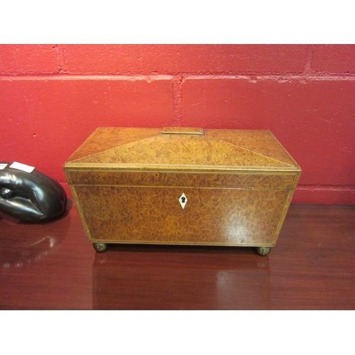 4126 - A burr walnut tea caddy with lion mask handle on bun feet (later interior)
Ivory Ref:D2W88ZPT