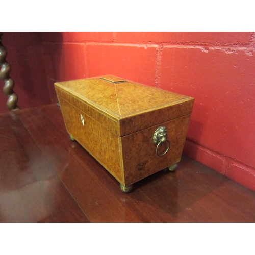 4126 - A burr walnut tea caddy with lion mask handle on bun feet (later interior)
Ivory Ref:D2W88ZPT