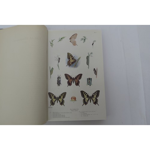 9404 - Frederick William Frohawk: 'Natural History of British Butterflies', London, Hutchinson, [1914], 1st... 