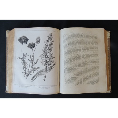 9359A - Alexander McDonald: 'A Complete Dictionary of Practical Gardening', London, George Kearsley, 1807, v... 