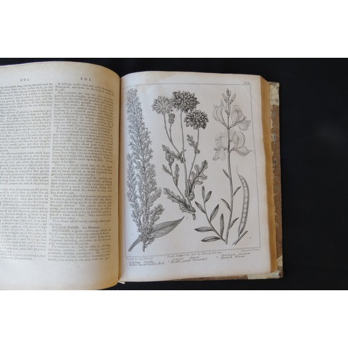 9359A - Alexander McDonald: 'A Complete Dictionary of Practical Gardening', London, George Kearsley, 1807, v... 