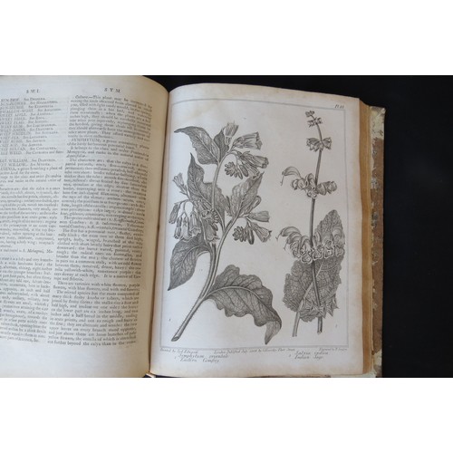 9359A - Alexander McDonald: 'A Complete Dictionary of Practical Gardening', London, George Kearsley, 1807, v... 