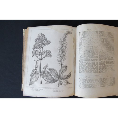 9359A - Alexander McDonald: 'A Complete Dictionary of Practical Gardening', London, George Kearsley, 1807, v... 