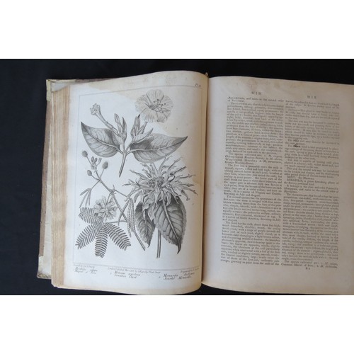 9359A - Alexander McDonald: 'A Complete Dictionary of Practical Gardening', London, George Kearsley, 1807, v... 