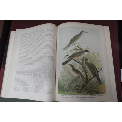 9376 - (Ornithology, J.G. Keulemans.) Johann Andreas Naumann; Carl Richard Hennicke & others (ed.): 'Naturg... 