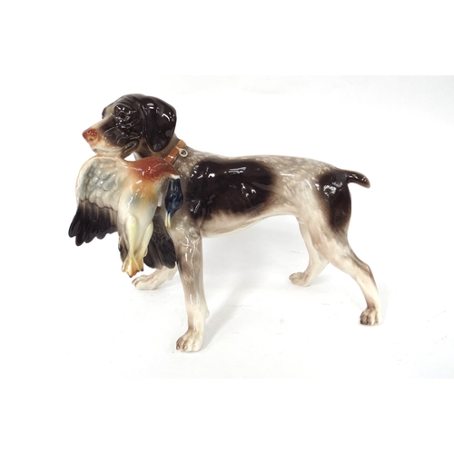 5457 - A porcelain German/Czech Republic ceramic figure of dog with duck in mouth mark to base.  24cm x 34c... 