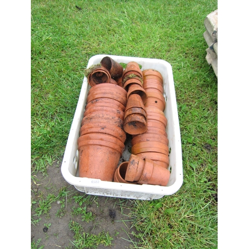 6580 - A tray of terracotta pots