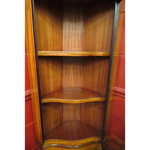 4130 - An Edwardian crossbanded and inlaid satin walnut corner vitrine, the glazed serpentine front single ... 
