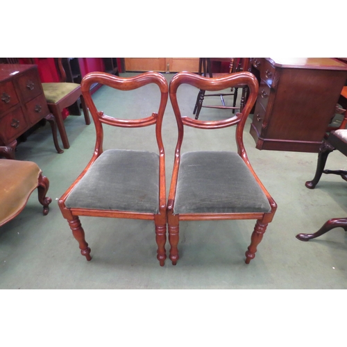 4153 - A pair of early Victorian mahogany kidney shape back rest chairs on turned and tapering fore legs (R... 
