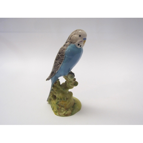 8040 - A Beswick Budgerigar in blue gloss, model no. 1217B