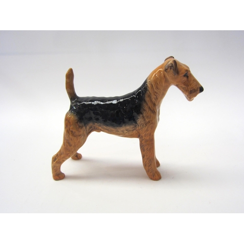 8049 - A Beswick Airedale Terrier 