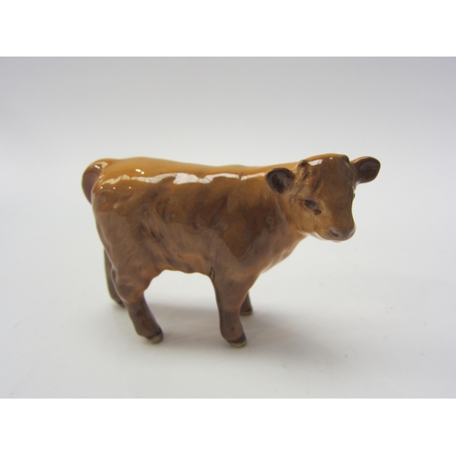 8065 - A Beswick Highland Calf in gloss, model no. 1827D