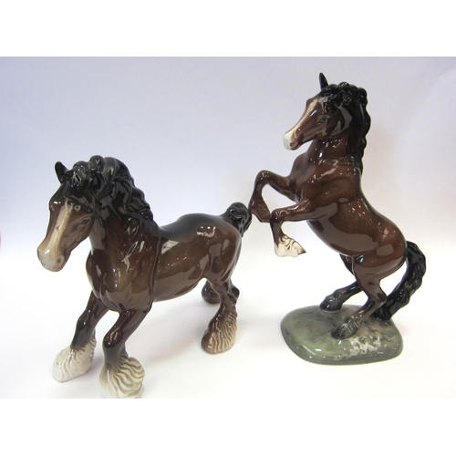 8073 - A Beswick cantering Shire Horse in brown gloss, model no. 975 together with a Beswick Welsh Cob rear... 