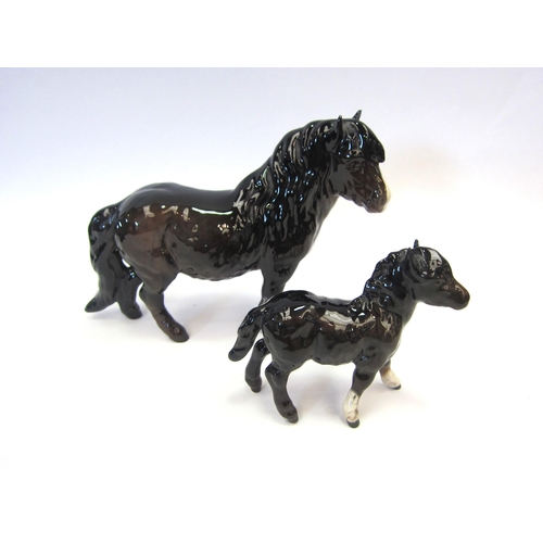 8076 - A Beswick Shetland Pony in brown gloss, model no. 1033 (ear a/f) together with a Beswick Shetland Fo... 