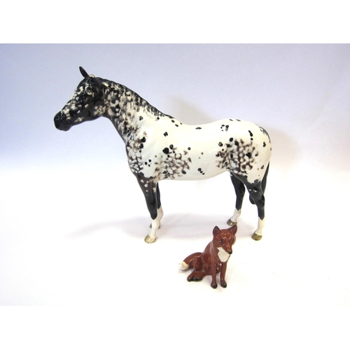 8077 - A Beswick Appaloosa Stallion, in black and white gloss, model no. 1772 (ear a/f) together with a Bes... 