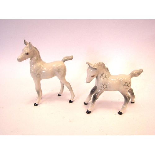 8096 - A Royal Doulton Arab Foal in opaque gloss, model no. 1407 together with a Beswick Foal (small, gambo... 