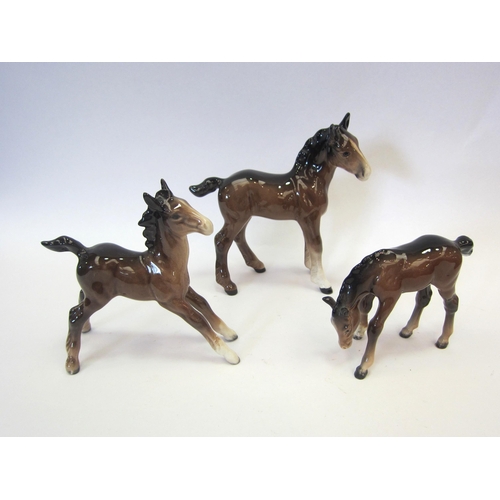 8098 - A Beswick Shire Foal (large) in brown gloss, model no. 951, Beswick Foal (stretched) in brown gloss,... 