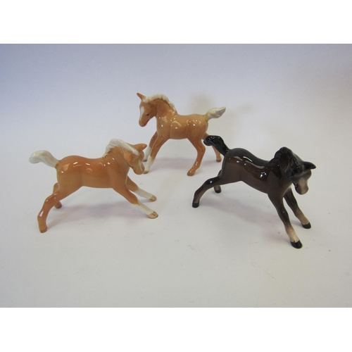 8101 - A Beswick Foal (small, stretched) in Palomino gloss, model no. 815, Royal Doulton Foal in brown glos... 