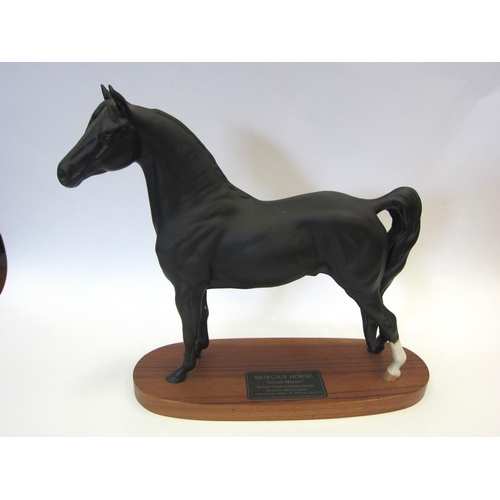 8107 - A Beswick Connoisseur Morgan Stallion 