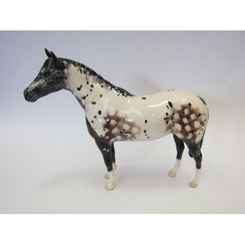 8109 - A Beswick Appaloosa Stallion in gloss, model no. 1772