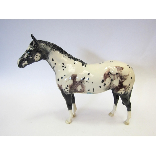 8114 - A Beswick Appaloosa Stallion in black and white gloss, model no. 1772