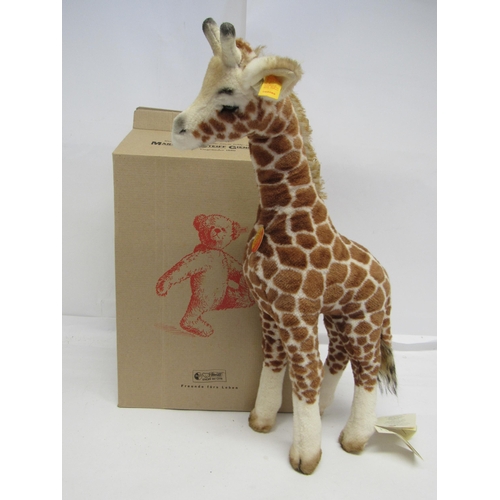 7101 - A boxed Steiff 068089 Giraffe with gold coloured button and yellow tag to ear, chest tag and swing t... 