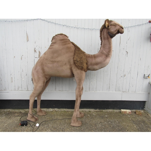 7096 - A Hansa life size animatronic plush camel with mains powered adjustable speed head nodding motion, 2... 