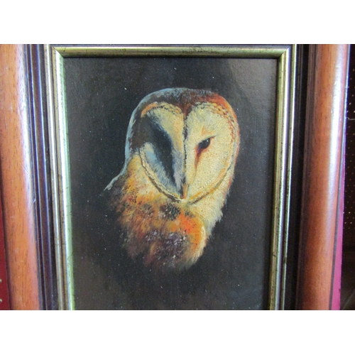 1047 - An acrylic on board titled Barn Owl Study. Unsigned. Framed. 22cm x 17cm image size