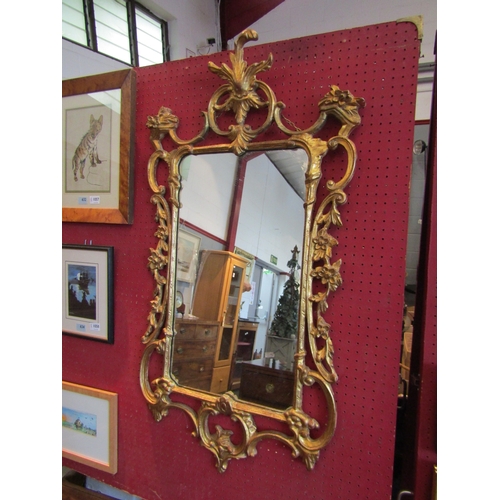 1056 - An ornate gilt mirror, 106cm x 58cm