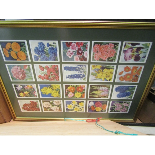 1120 - A box of various prints and framed cigarette cards