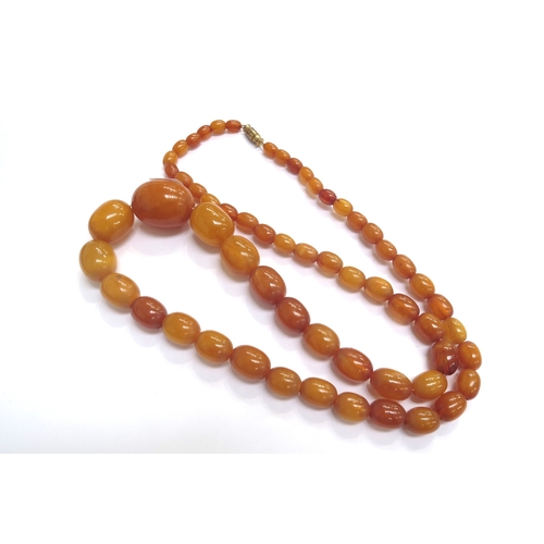 9262 - A graduated amber bead necklace, 64cm long, 36.7g