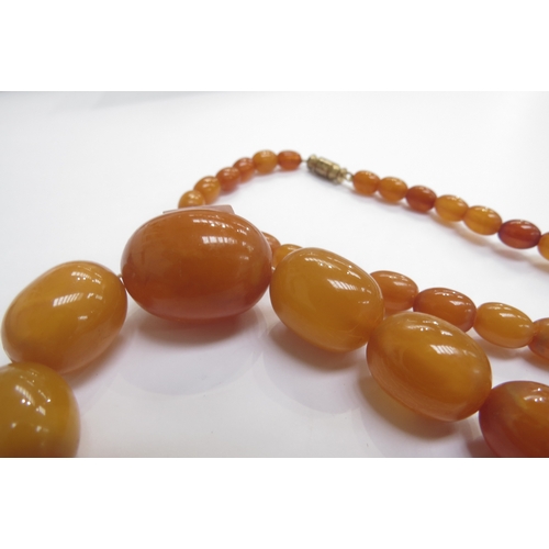 9262 - A graduated amber bead necklace, 64cm long, 36.7g