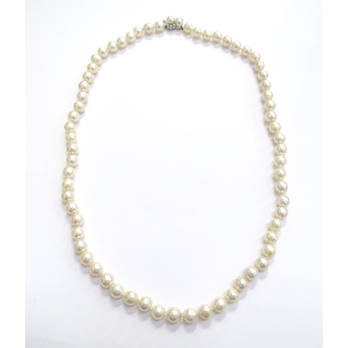 9340 - A single strand of irregular shaped pearls with a white gold pearl and diamond set clasp stamped 14k... 