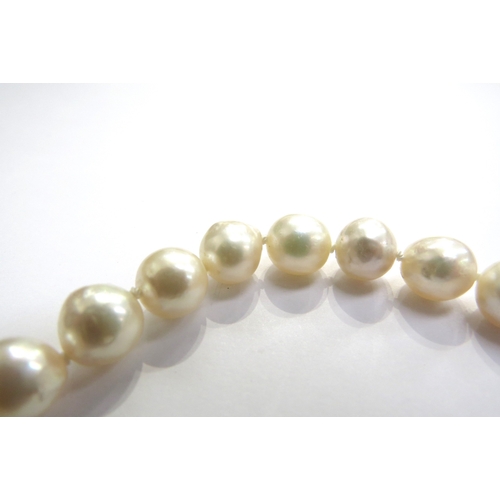 9340 - A single strand of irregular shaped pearls with a white gold pearl and diamond set clasp stamped 14k... 