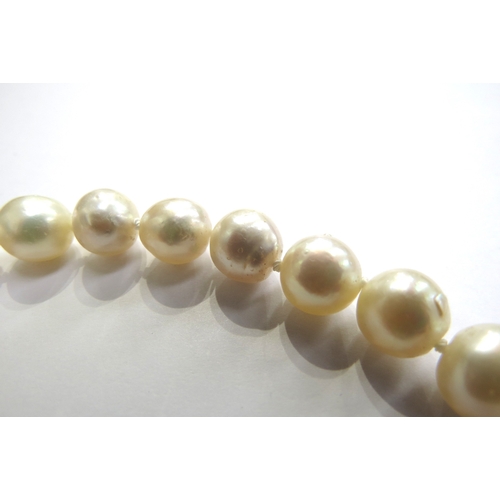 9340 - A single strand of irregular shaped pearls with a white gold pearl and diamond set clasp stamped 14k... 