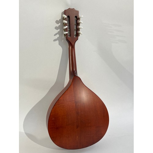 5005 - An Ozark teardrop mandolin, inlaid detail