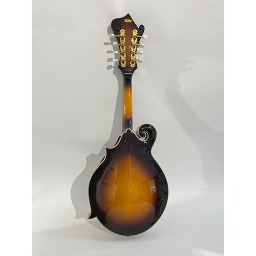 5006 - An Ashbury YHM-500 F-type mandolin, sunburst body, mother of pearl inlay