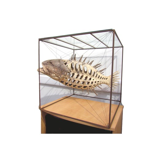 7064 - A late 20th Century ceramic sculptural figure of a Grouper fish, suspended diagonally by metal wires... 