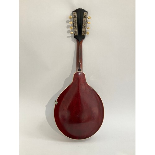 5001 - An early 20th Century Gibson A4 mandolin, teardrop form with mother of pearl inlay to headstock, ivo... 