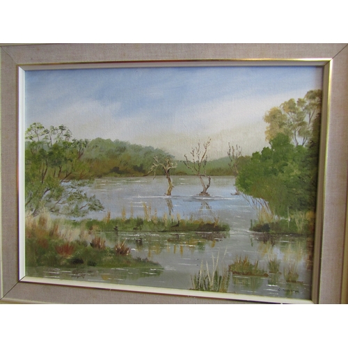 1062 - C. BALKHAM (local artist): An oil on board entitled 