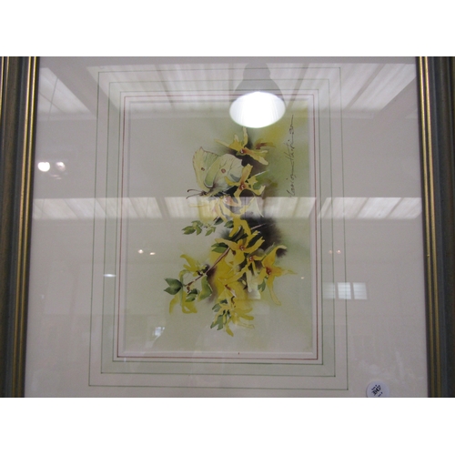 1200 - T.W Wilkinson watercolour entitled Dees Park, two watercolour studies of lilies, one entitled 'Starg... 