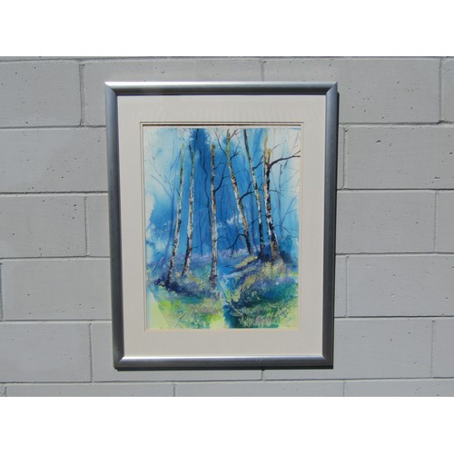 7525 - SANDY HILLYER (XX/XXI) A large framed & glazed original painting of birch trees, signed lower left. ... 