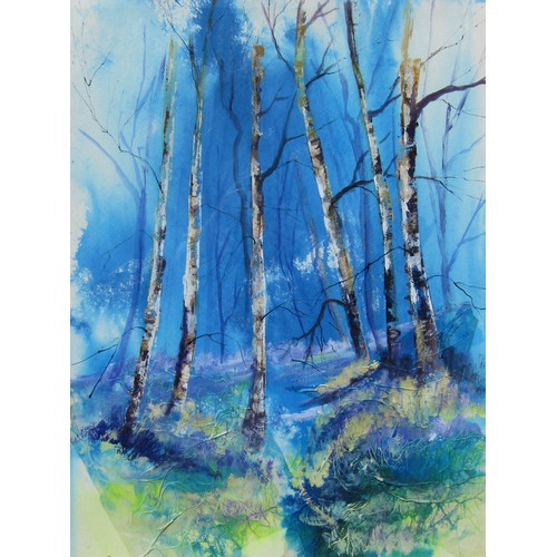 7525 - SANDY HILLYER (XX/XXI) A large framed & glazed original painting of birch trees, signed lower left. ... 