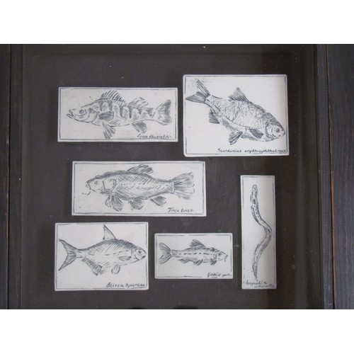 7063 - CAROLINE BAINES (XX/XXI) A framed studio pottery construction of Freshwater fish, signed and dated 1... 